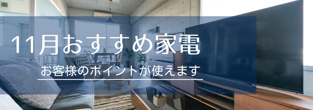 広島ガス住設家電チラシ11月号ポイント活用