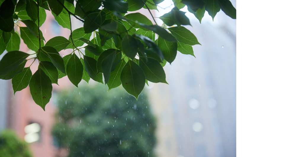 梅雨前に雨漏り対策を点検ポイント