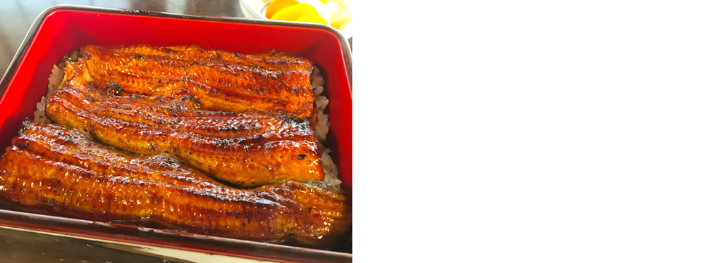 土用の丑の日は、ガスコンロで美味しい鰻料理を楽しもう!うなぎをより美味しく焼き上げるポイント