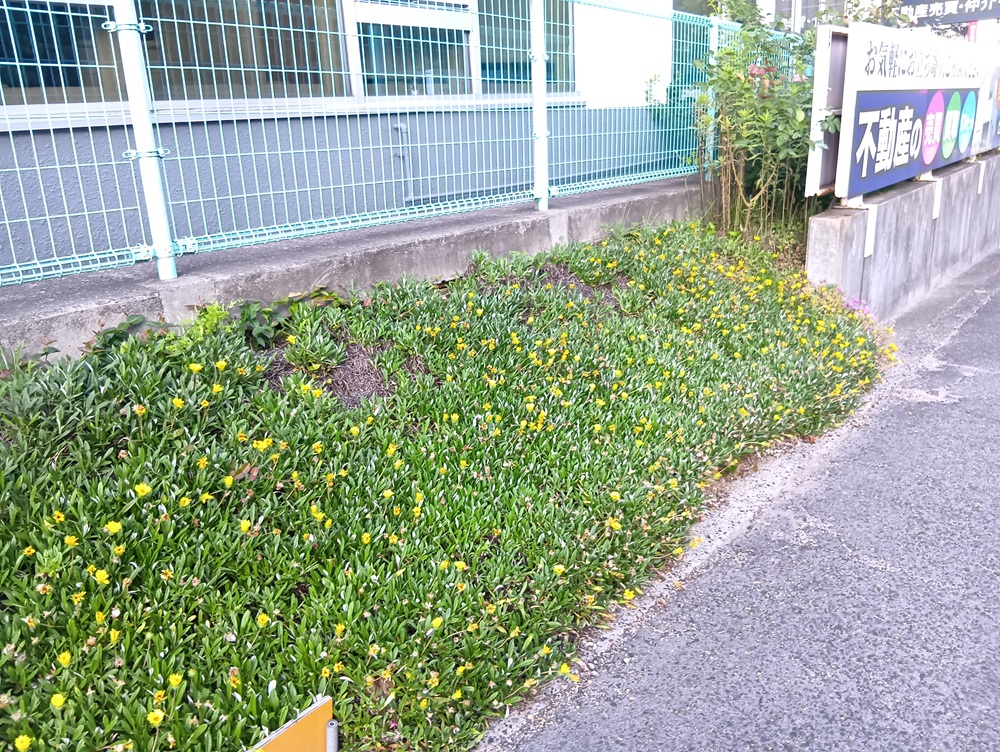 広島ガス住設福山支店草かり