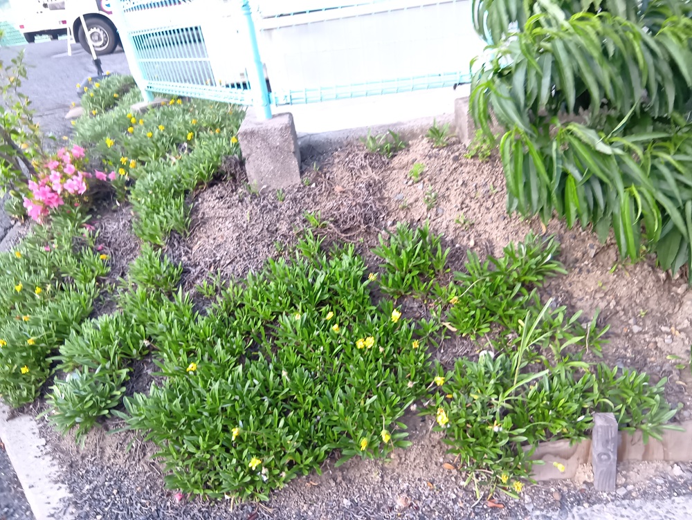 広島ガス住設福山支店草むしり
