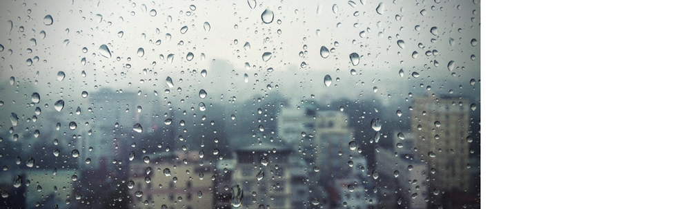 雨